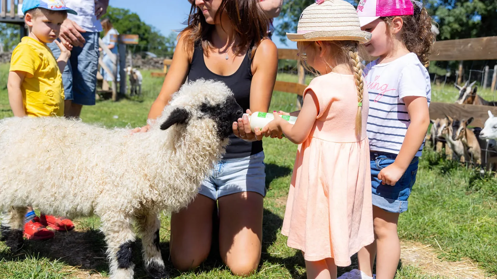 Fattoria didattica con bambini Aubrac