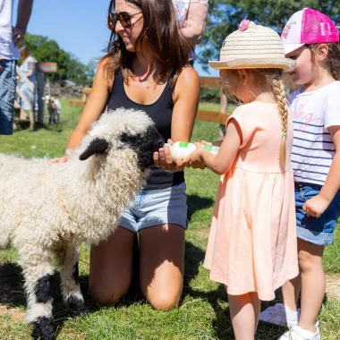 Ferme pédagogique avec des enfants Aubrac