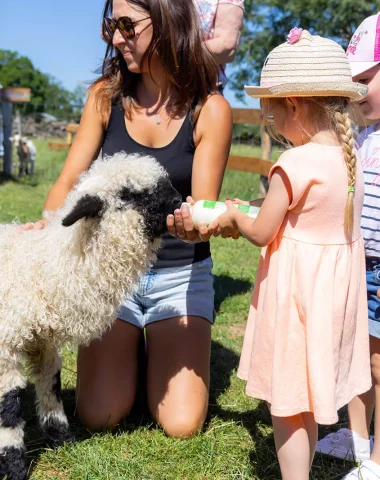 Fattoria didattica con bambini Aubrac