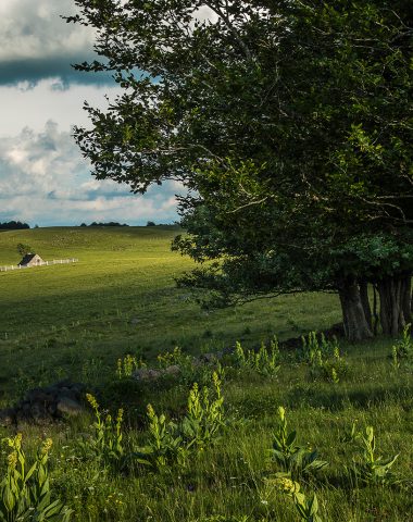 Aubrac plateau