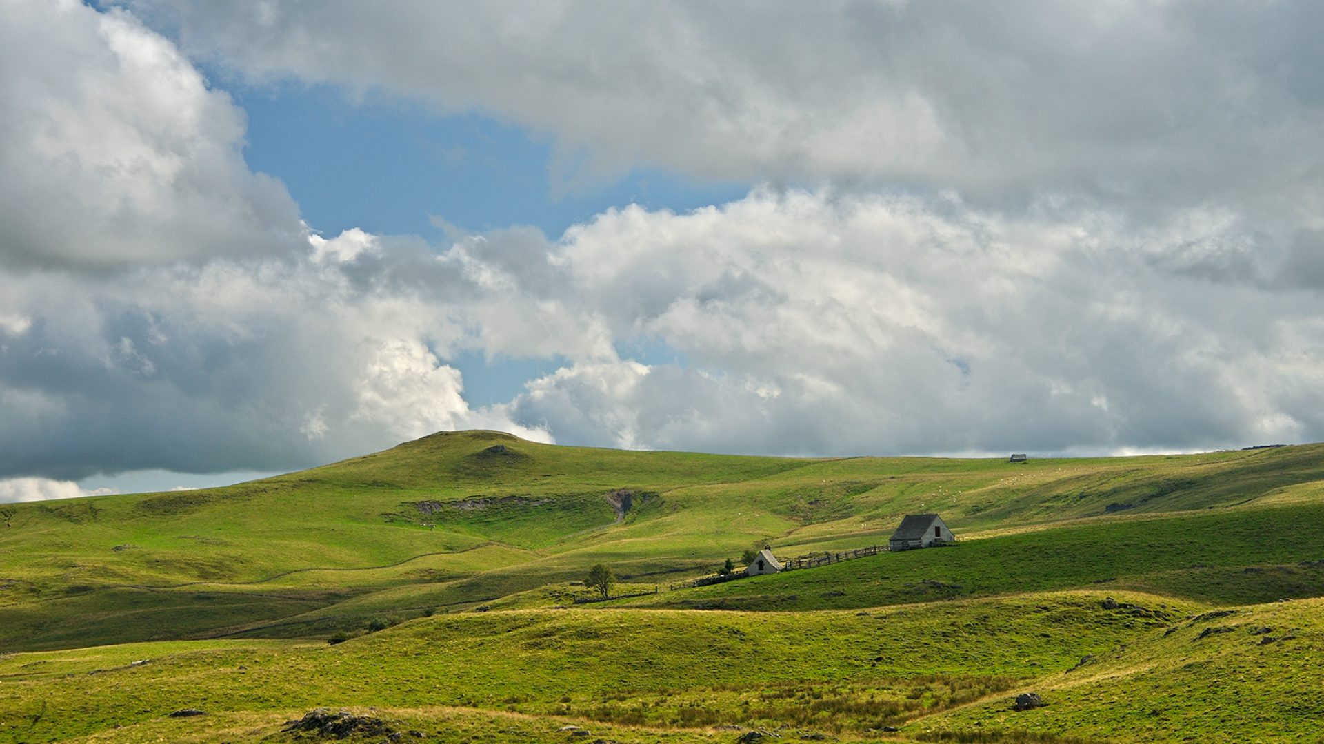 Hochebene von Aubrac buron