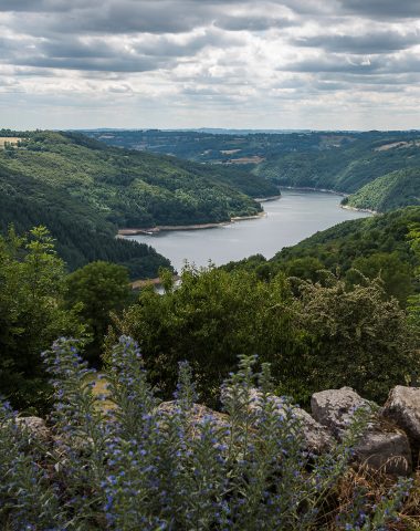 Gorges de la Truyère