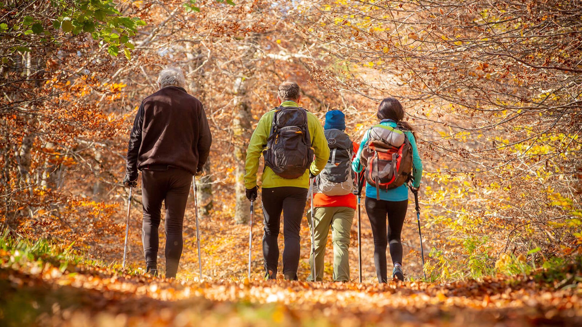 GR® Hiking Tour of the Monts d'Aubrac