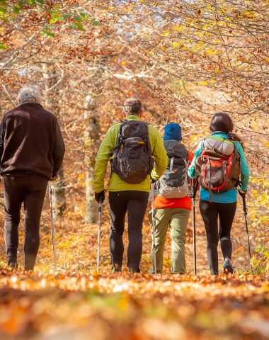 GR® Hiking Tour of the Monts d'Aubrac