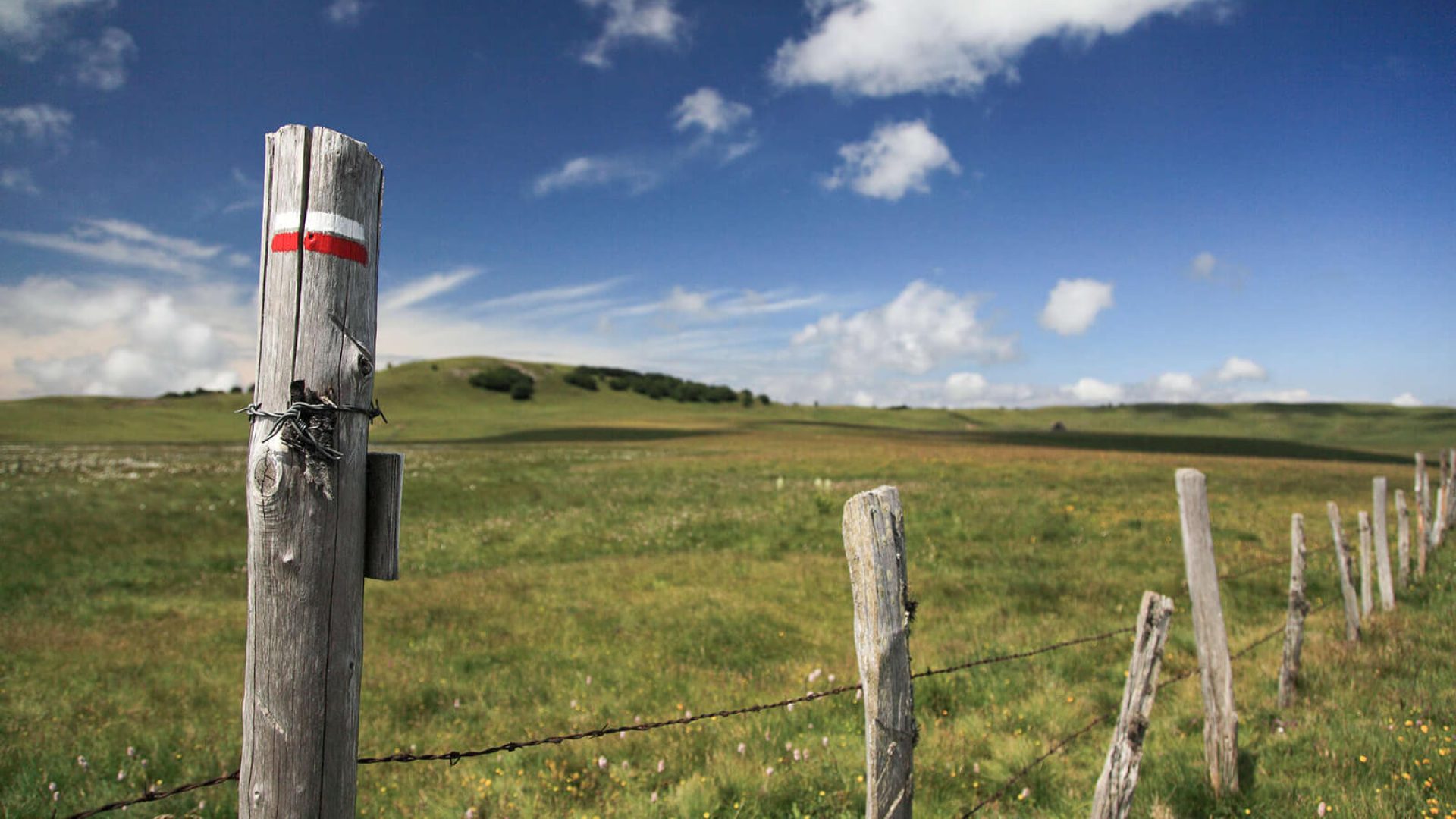 Geweldige wandelingen Aubrac