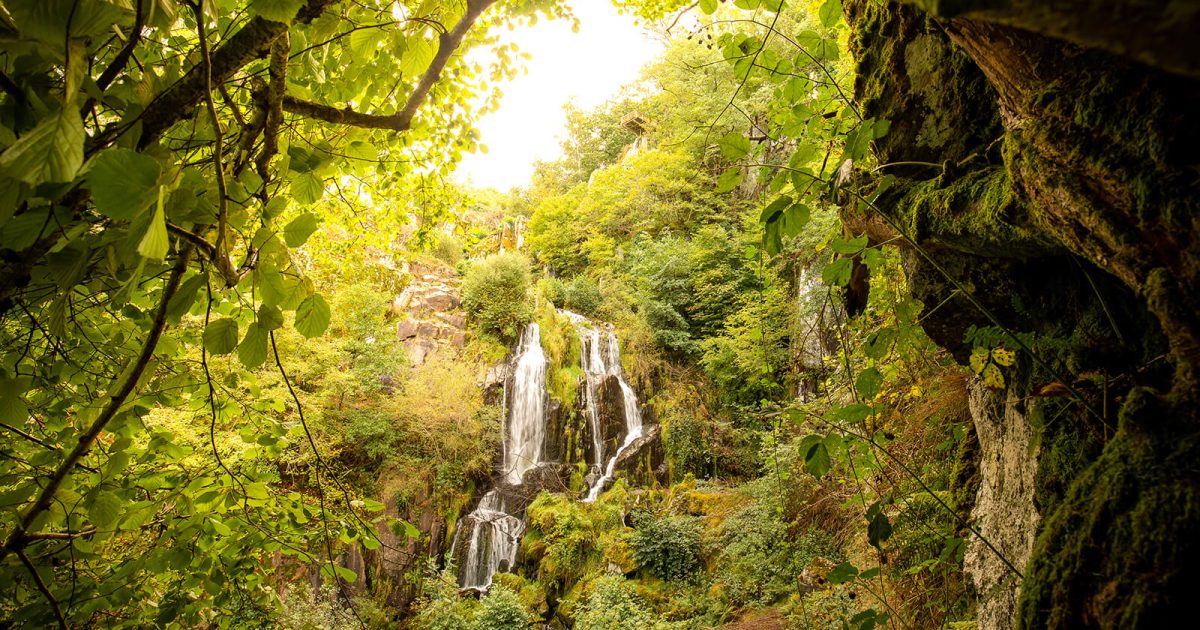 Springender Hundewasserfall