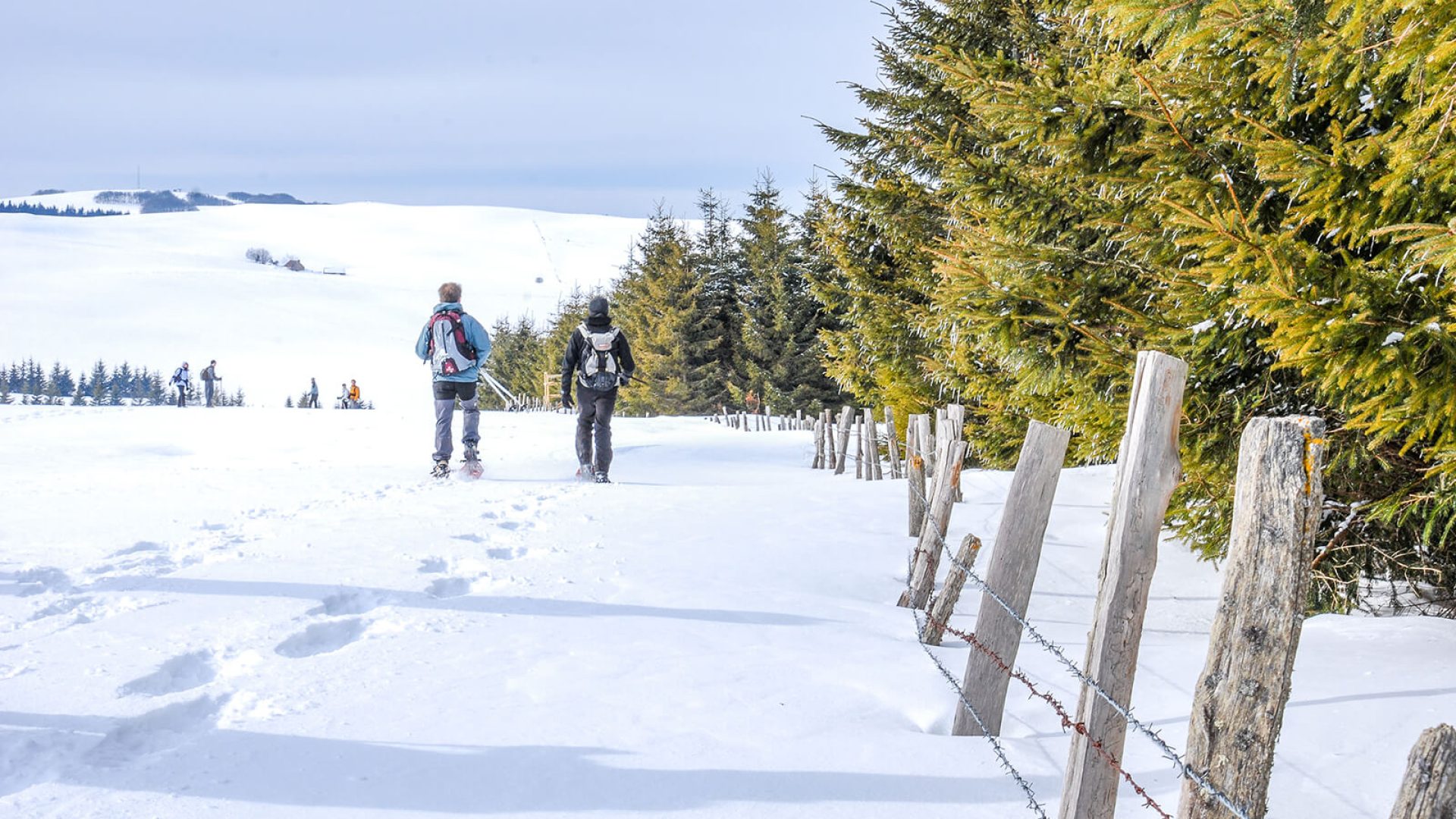 Winter sports Aubrac