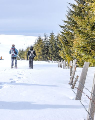 Winter sports Aubrac